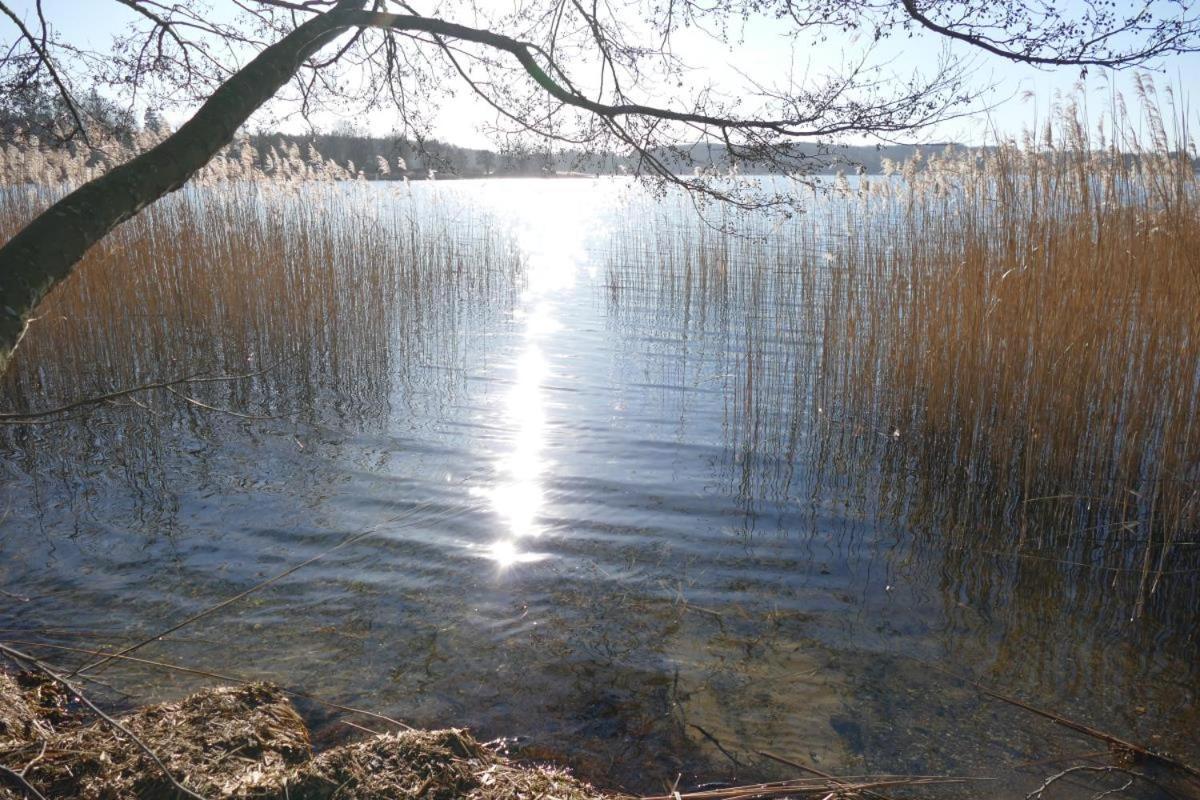 Landhaus Am See App. 2 Ponitz am See Kültér fotó