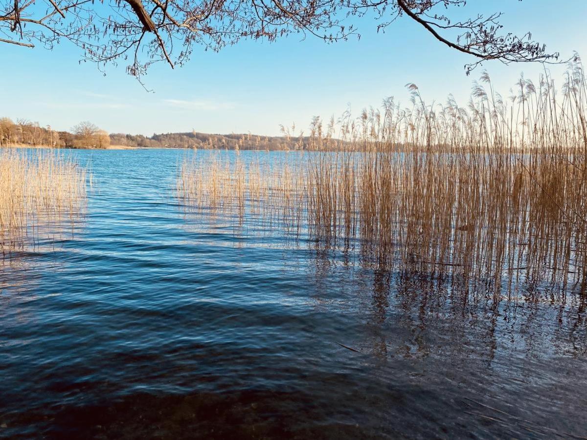 Landhaus Am See App. 2 Ponitz am See Kültér fotó